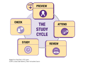 study time effective