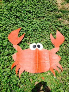 robert 5