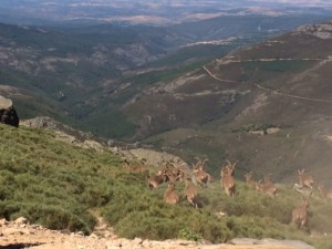 View from the top of Penia de Franica – 20 degrees cooler here than the city with a beautiful breeze and majestic views extending from every angle.