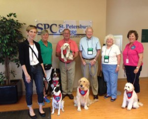 therapy dogs