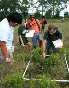 Students study the relative abundance of plant species using different transect methods during the Field Biology of Florida course at St. Petersburg College.