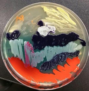 art6