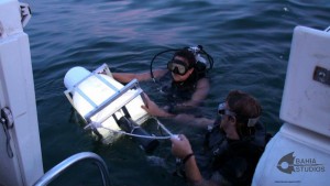 Student divers bring up fish traps for the reef study. 