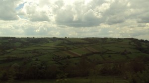 DSC02220