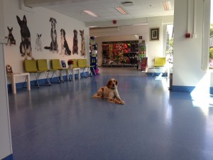 IMG_0826