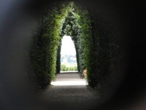DSC00855