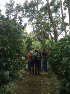 Coffee Tour