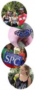 costa rica email banner