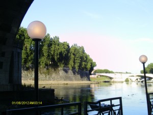 IMAG0113