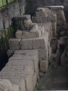IMG_0269