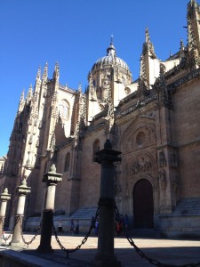 blog image