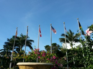 20141031_170302