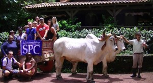 Costa Rica SPC group photo