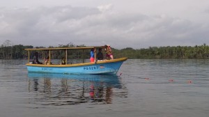 IMG_20150513_080045894