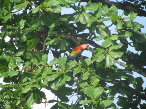 IMG_5824