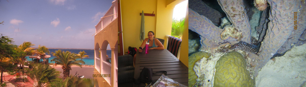bonaire-banner3