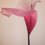 Painting of a Calla Lily