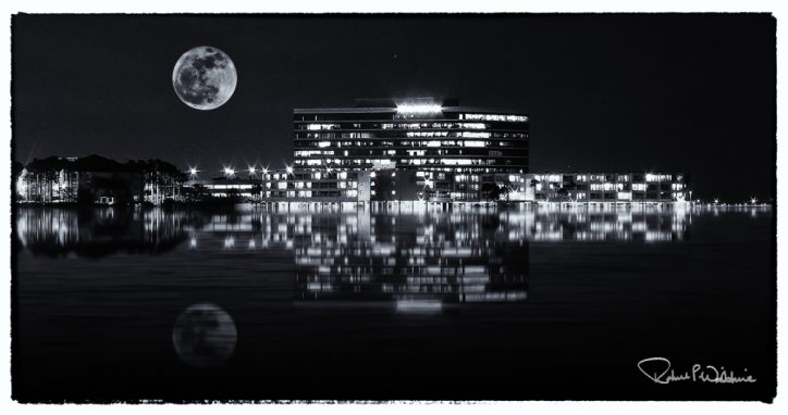 Reflection on Tampa Bay