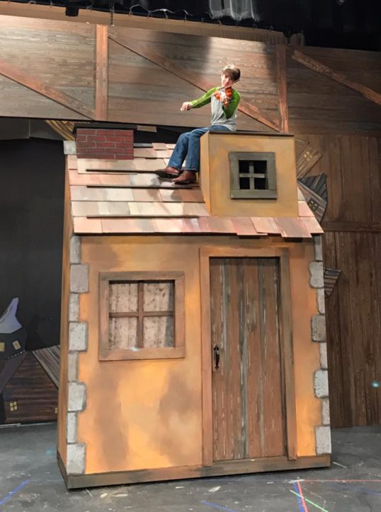 Photo of 'Fiddler' musical actor