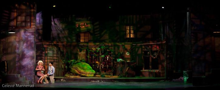 set design Little Shop of Horrors