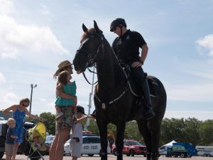 public safety