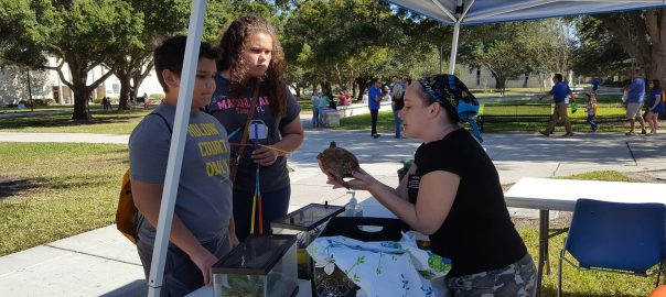 Students looking at turtle at STEM Careers Festival