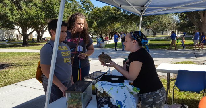 Students looking at turtle at STEM Careers Festival