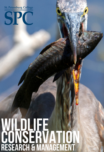 Image of a Pelican with a bird in its beak and caption reading "Wildlife Conservation: Research and Management