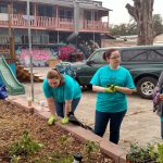 SFEA Volunteers