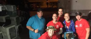 Suncoast Animal volunteers