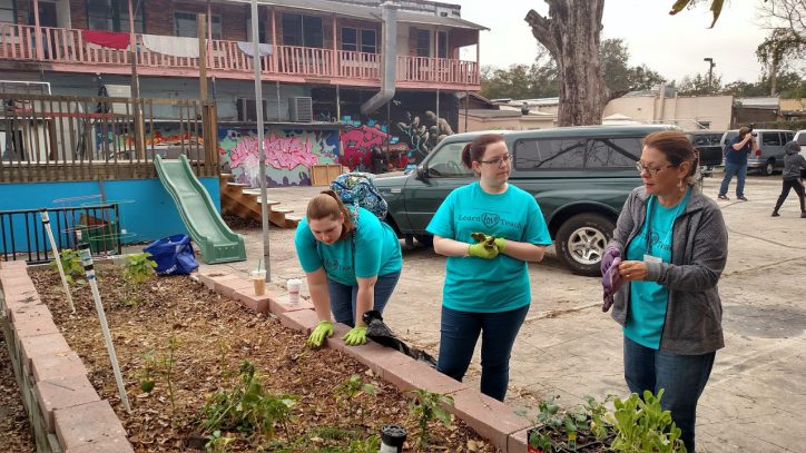SFEA Volunteers