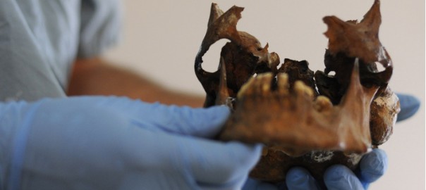Dential CSI: SPC student experiences being a dental forensic team member