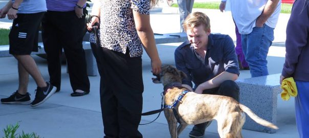 Vet Tech Open House and a dog