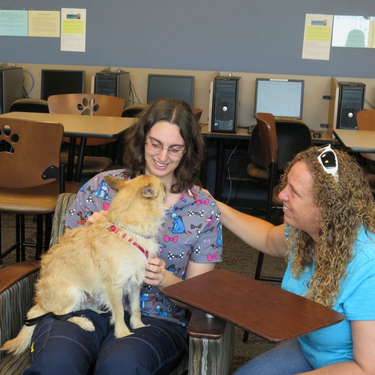 spc student with dog