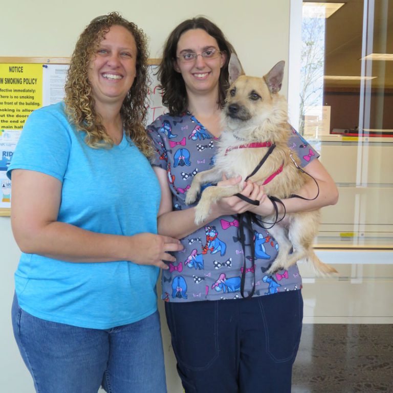SPC student with dog