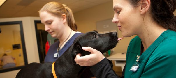 Girl with a dog for vet tech