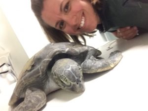 Veterinary Technology Careers