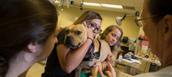 students hold dog as instructor teaches