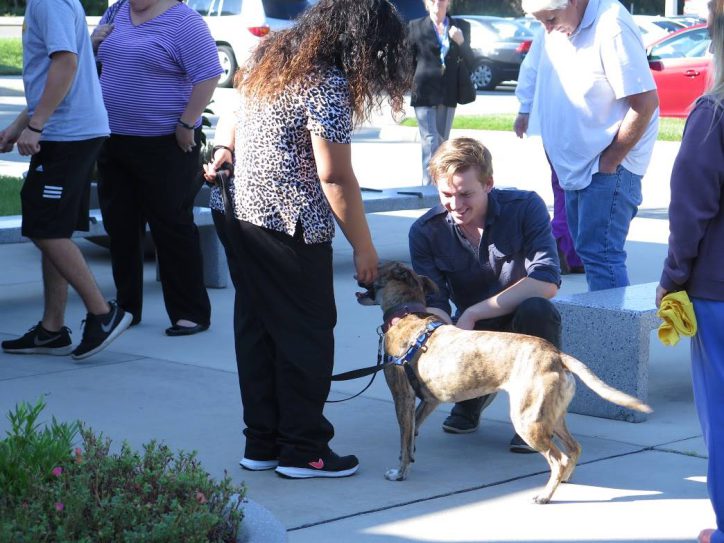 Vet Tech Open House and a dog