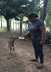 South Africa Study Abroad