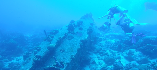 Bonaire