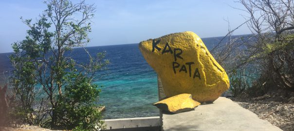 Bonaire Study Abroad Exploration