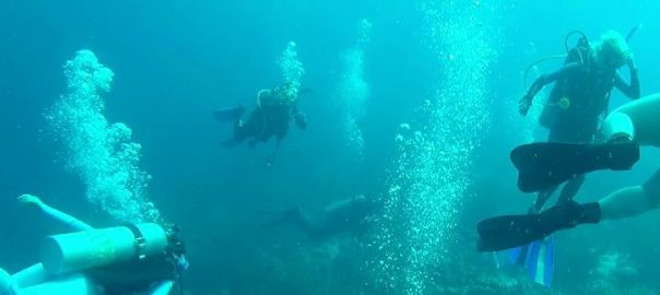 Bonaire Study Abroad