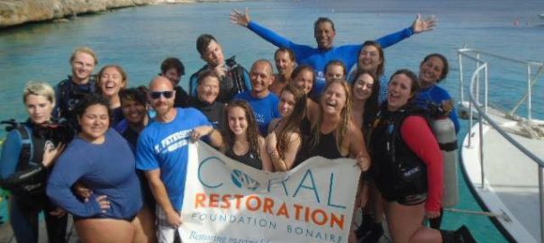 Bonaire Study Abroad Scholarship Opens Doors