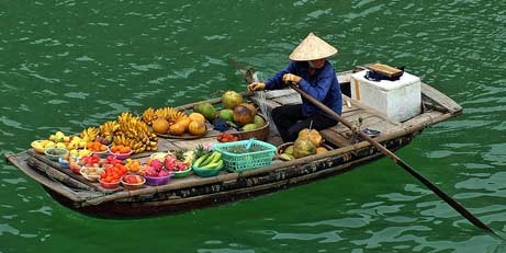 Vietnamese Fulbright Scholar