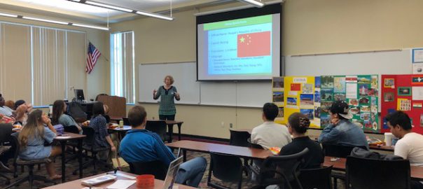Lunch & Learn