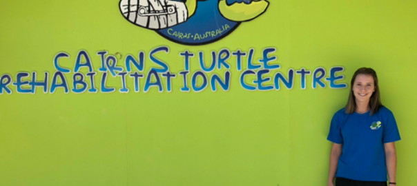 Turtle Rehabilitation