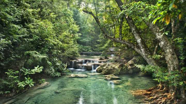Honduras