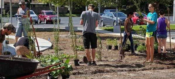 Students volunteer at Clearwater campus beautification