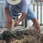 Student at Reef Cleanup